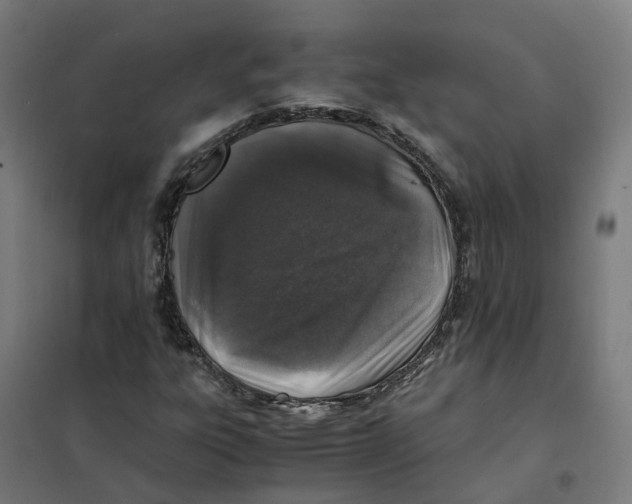 X0000101711303200808071213