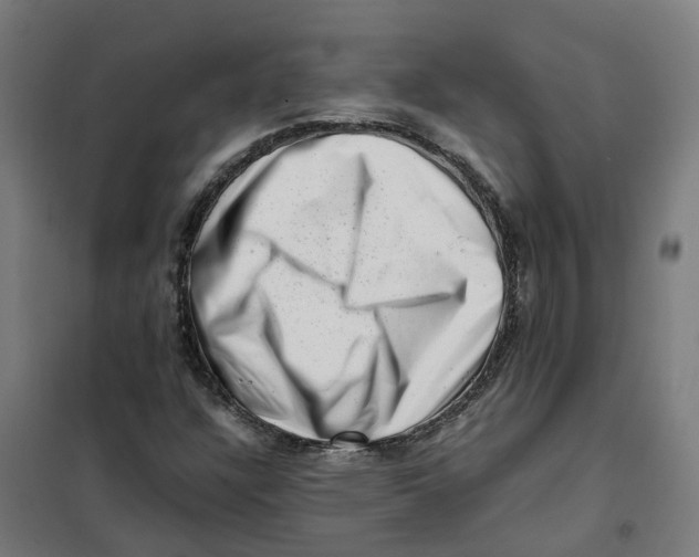 X0000101711304200808071213
