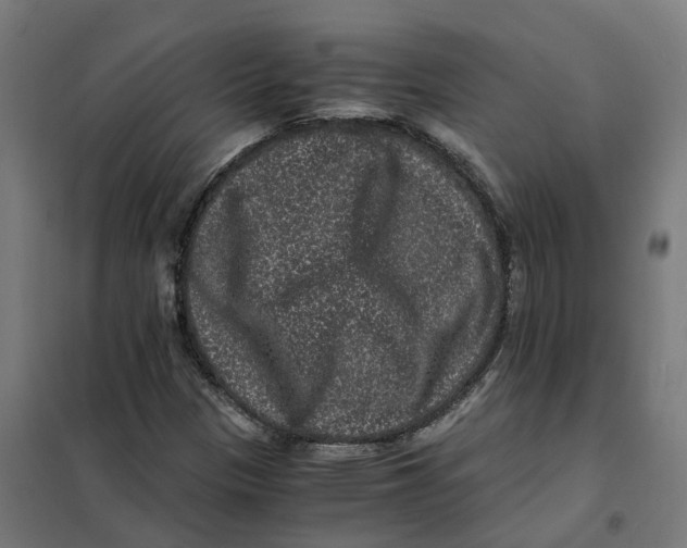 X0000101711305200808071213