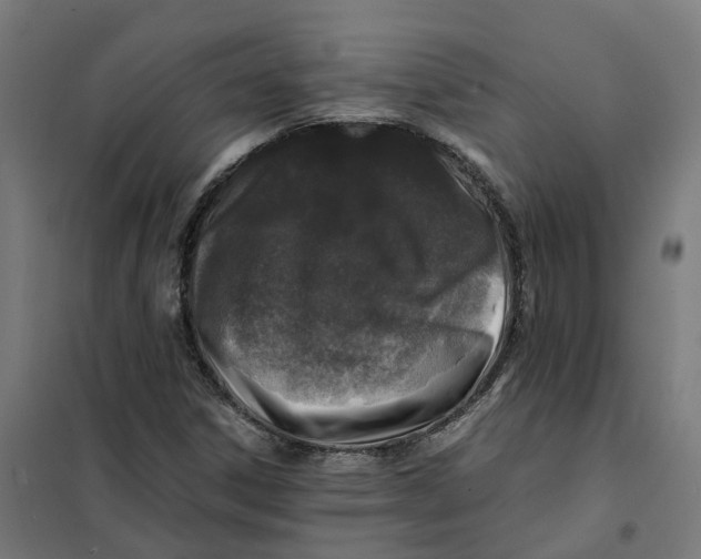 X0000101711306200808071213
