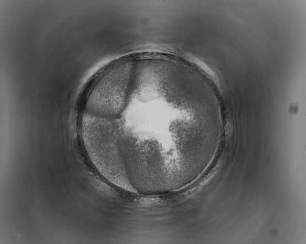 X0000101711310200808071213