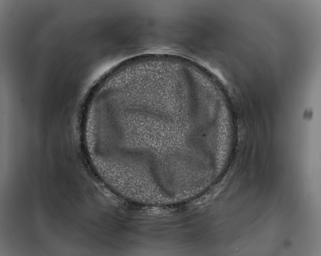 X0000101711311200808071213
