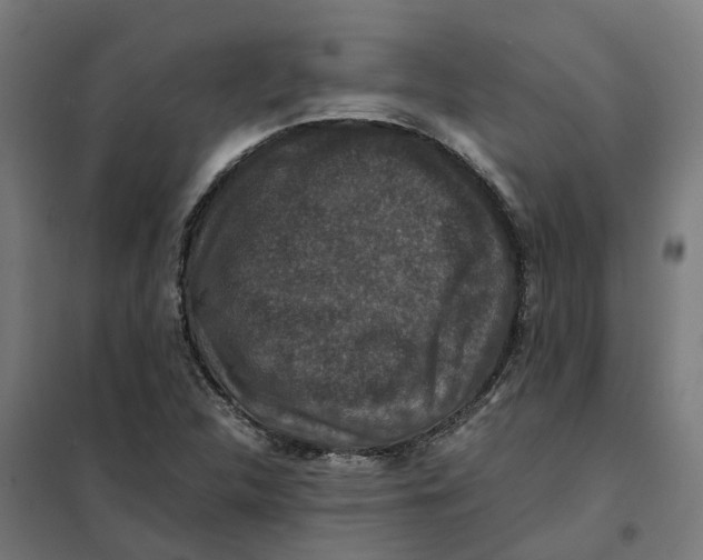 X0000101711312200808071213