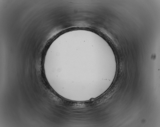 X0000101711315200808071213