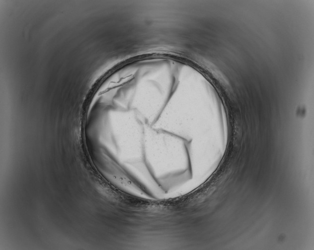 X0000101711316200808071213