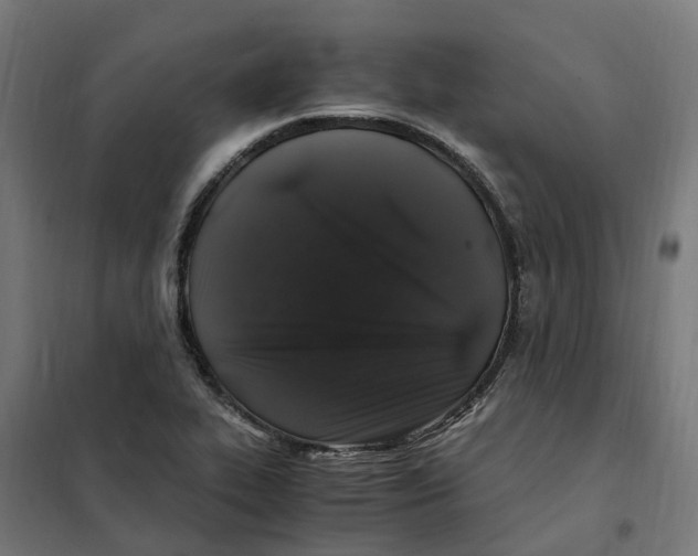 X0000101711319200808071213