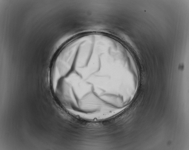 X0000101711320200808071213