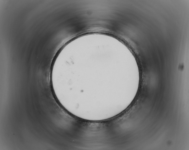 X0000101711322200808071213