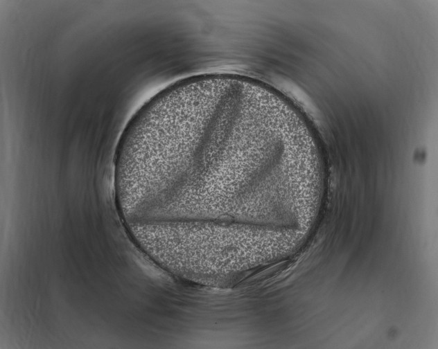X0000101711324200808071213