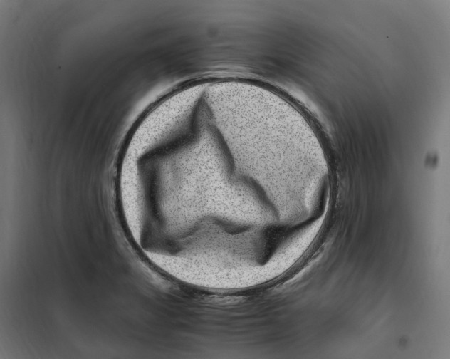 X0000101711325200808071213