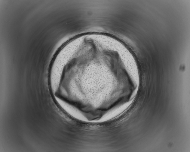 X0000101711326200808071213
