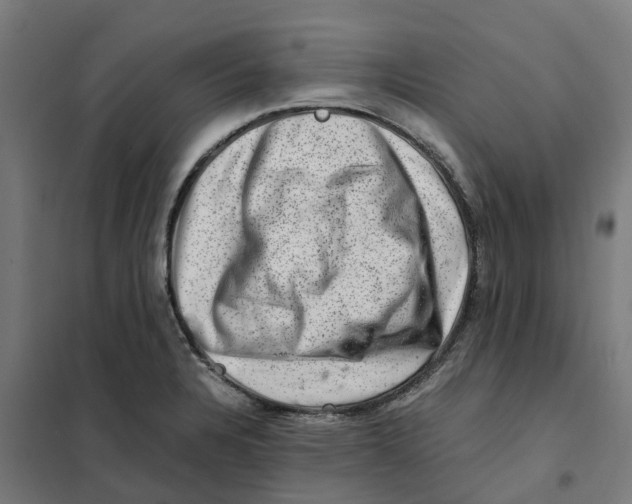 X0000101711328200808071213