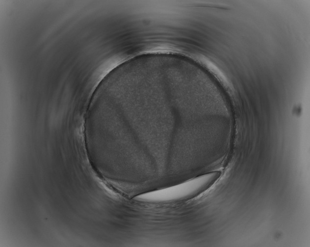 X0000101711329200808071213