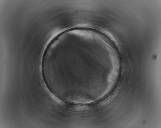 X0000101711331200808071213