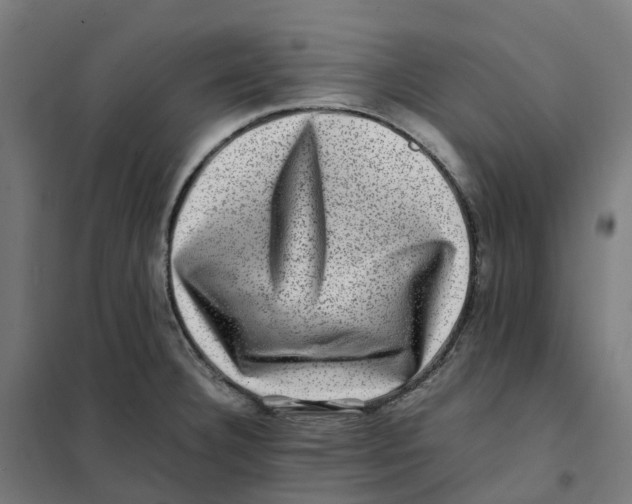 X0000101711332200808071213