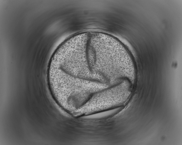 X0000101711333200808071213