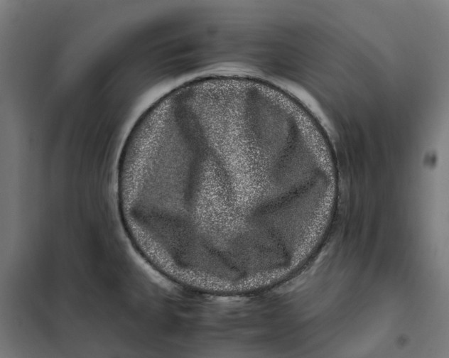 X0000101711335200808071213