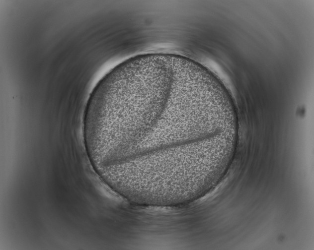 X0000101711336200808071214