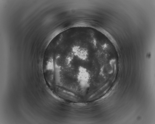 X0000101711337200808071214