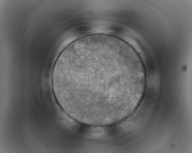 X0000101711338200808071214