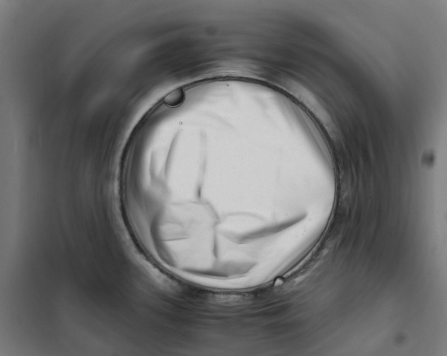 X0000101711339200808071214