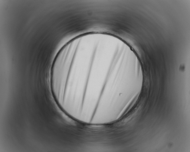 X0000101711343200808071214