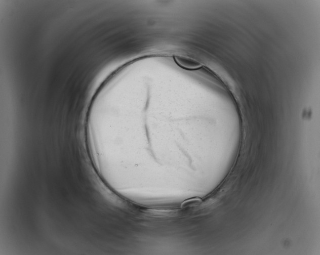 X0000101711344200808071214