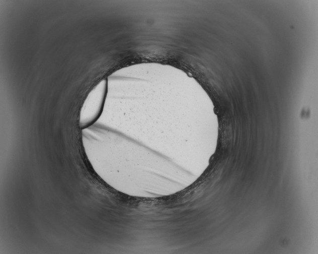 X0000101711345200808071213
