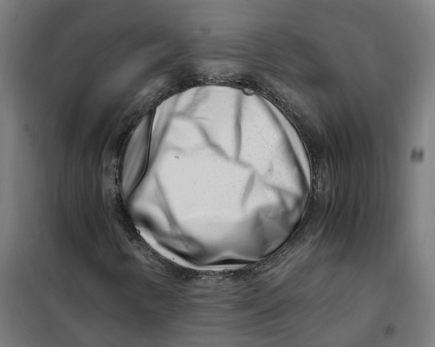X0000101711346200808071213