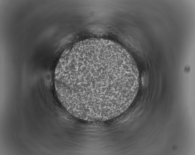X0000101711347200808071213
