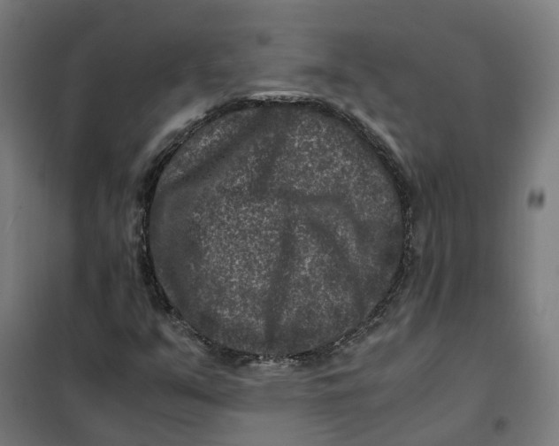 X0000101711351200808071213