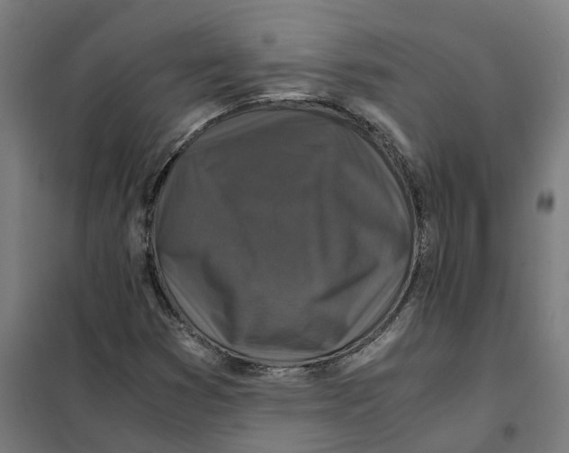 X0000101711353200808071213