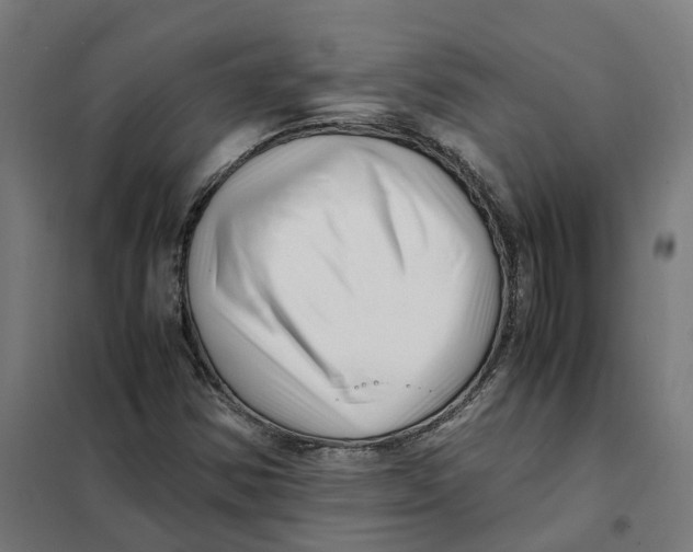 X0000101711354200808071213