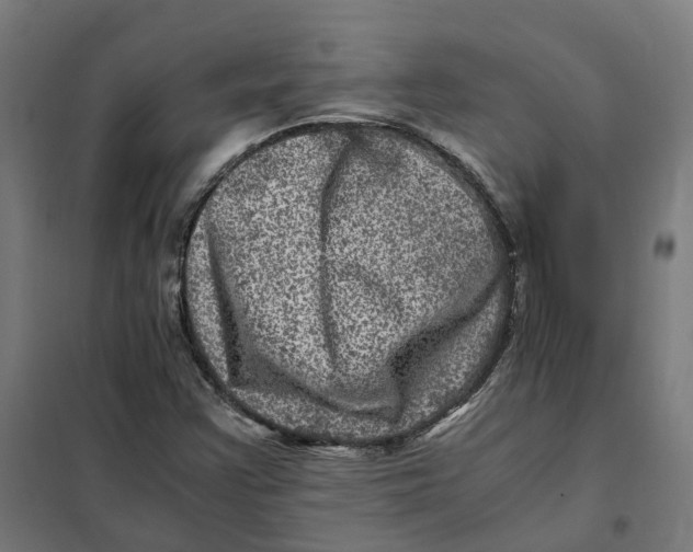 X0000101711355200808071213