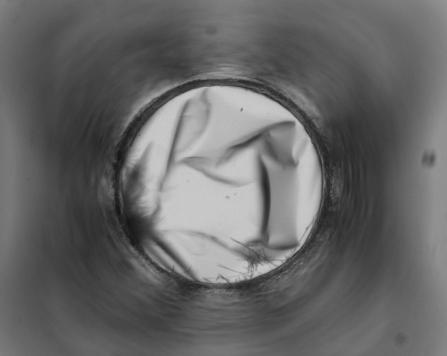 X0000101711356200808071213