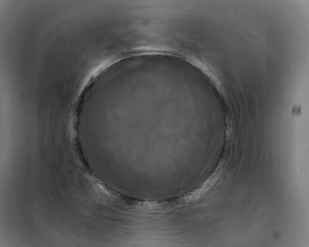 X0000101711357200808071213