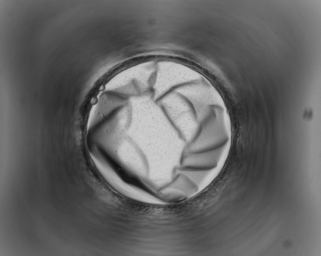 X0000101711360200808071213