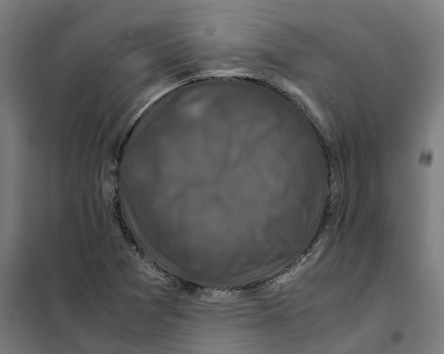 X0000101711361200808071213