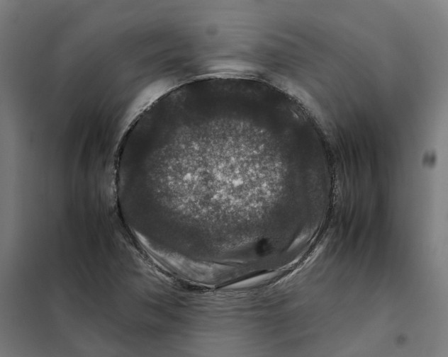 X0000101711362200808071213