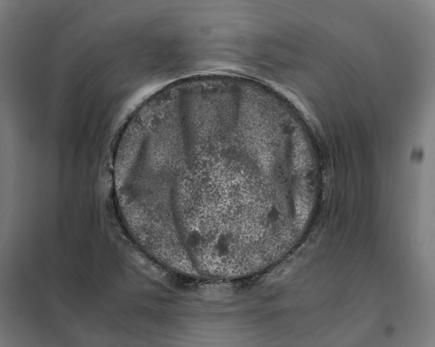 X0000101711363200808071213