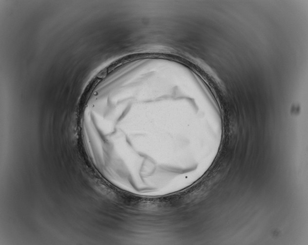 X0000101711364200808071213