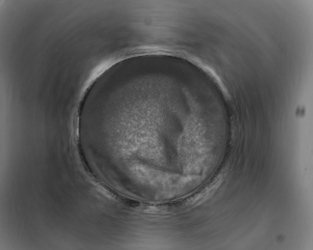 X0000101711365200808071213