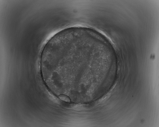 X0000101711367200808071213
