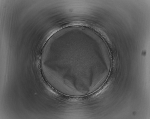 X0000101711369200808071213