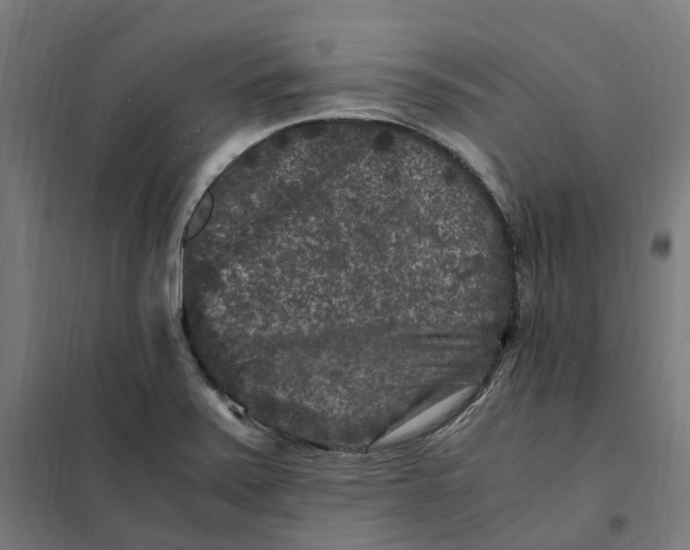 X0000101711371200808071213