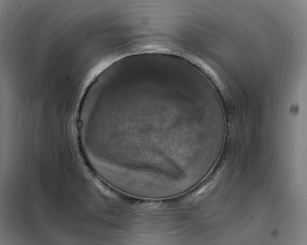 X0000101711373200808071213