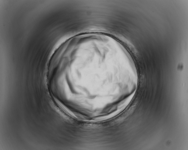 X0000101711374200808071213