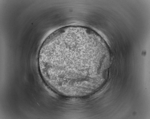 X0000101711375200808071212