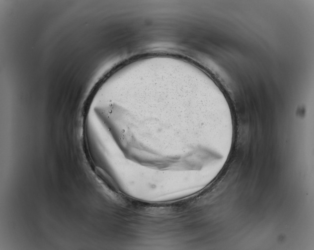 X0000101711376200808071212