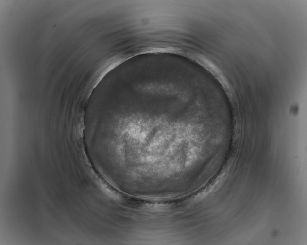 X0000101711377200808071212